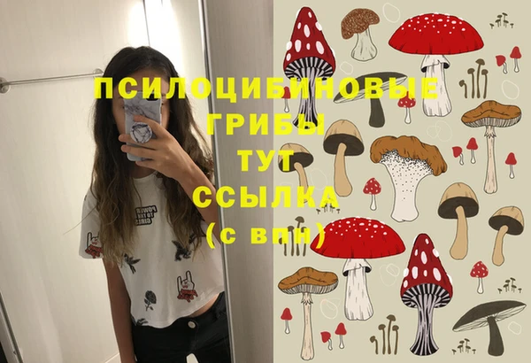 прущие крисы Бугульма