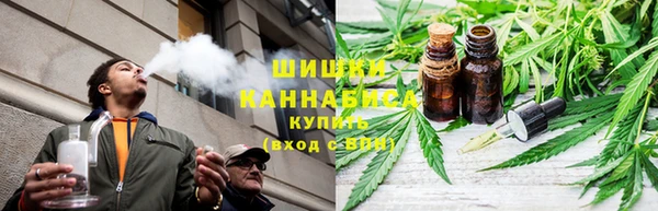 PSILOCYBIN Богородицк