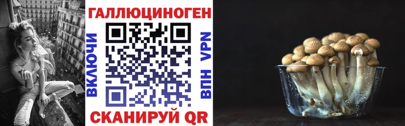 Галлюциногенные грибы Psilocybe  мега   Джанкой 
