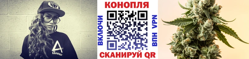 Шишки марихуана гибрид  где найти наркотики  Джанкой 